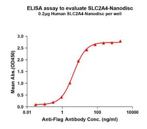 Activity Data (SLC2A4-038H).jpg